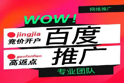 百度推广费用优化策略：成功案例分享