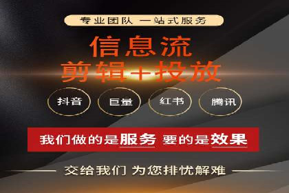 竞价广告的智能投放：XX平台的创新实践